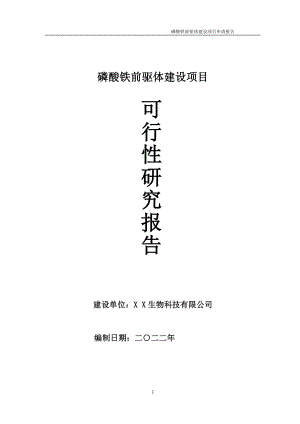 磷酸铁前驱体项目可行性研究报告备案申请模板.doc