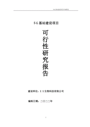 ５G基站项目可行性研究报告备案申请模板.doc