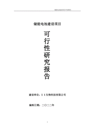 储能电池项目可行性研究报告备案申请模板.doc