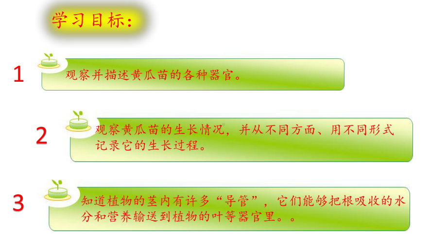 (新教材)大象版三年级下册科学 33茁壮成长 教学课件.pptx_第2页