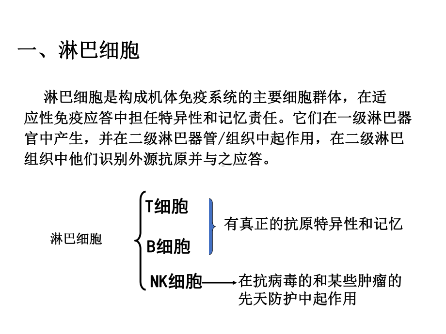 (2020年整理)适应性免疫系统课件.ppt_第3页