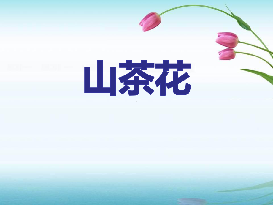 《山茶花》(完美版)课件.pptx_第1页