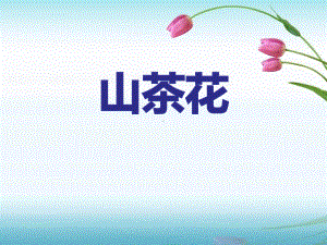 《山茶花》(完美版)课件.pptx