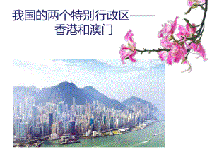 中图版七年级下册地理《第七节 珠江三角洲地区》课件.ppt