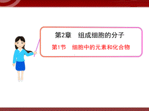 《细胞中的元素和化合物》课件.ppt