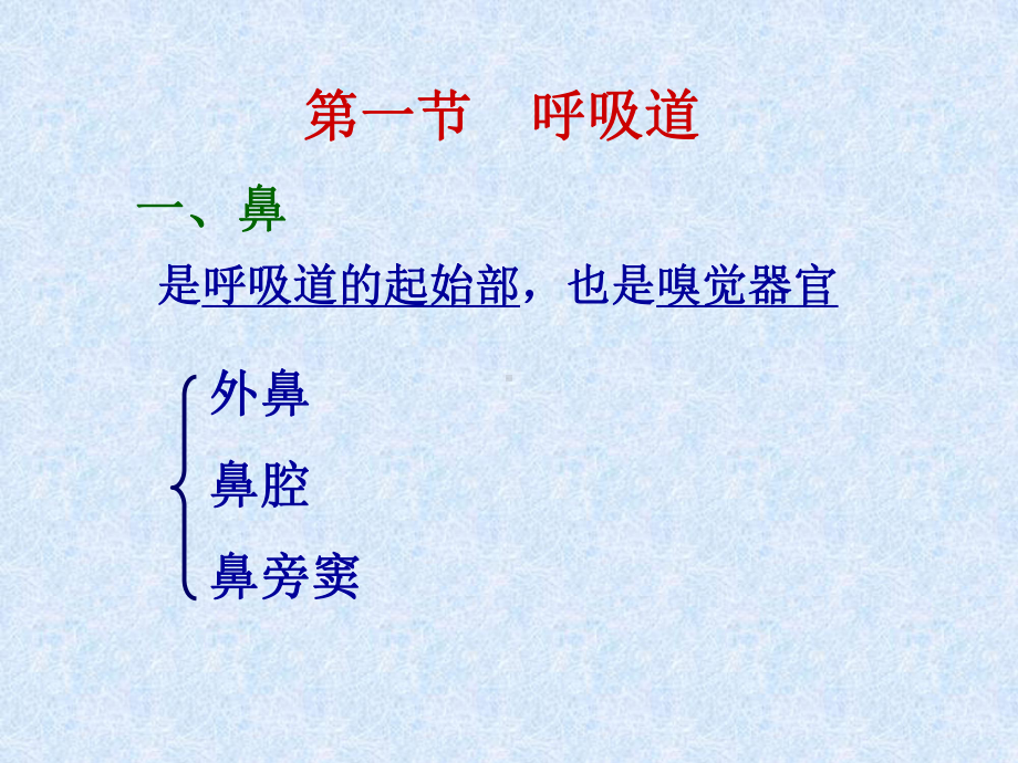 人体解剖学之呼吸系统课件.ppt_第3页