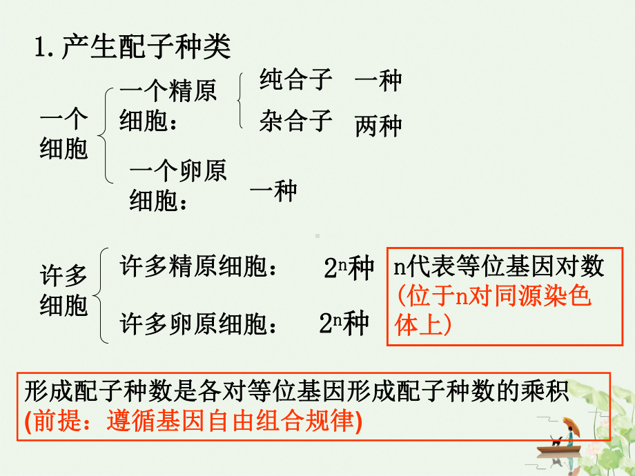 一轮复习课件自由组合定律习题归类.ppt_第2页