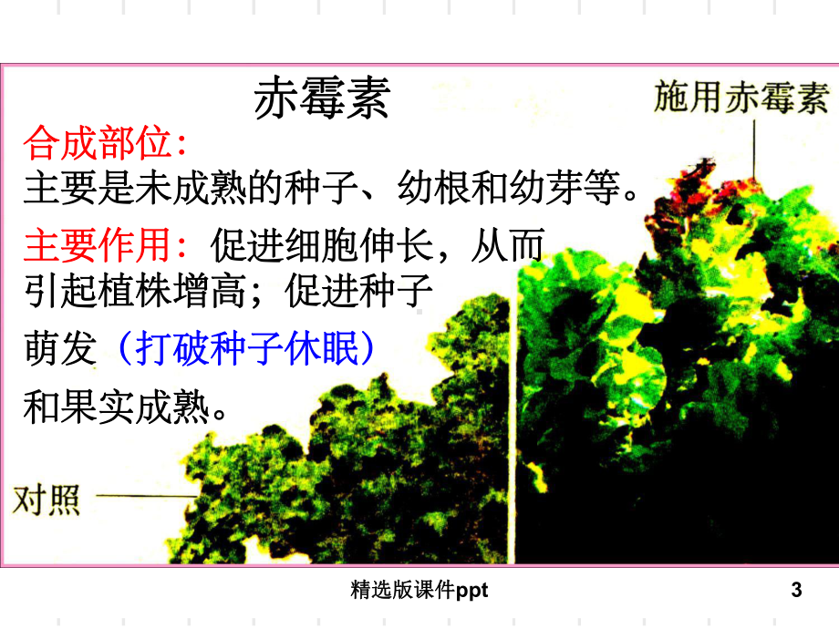 其他植物激素课件.ppt_第3页