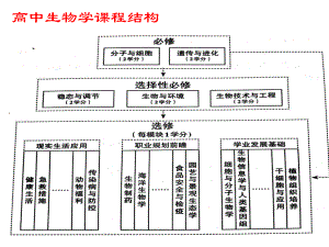 人教版新教材《走近细胞》1课件.pptx