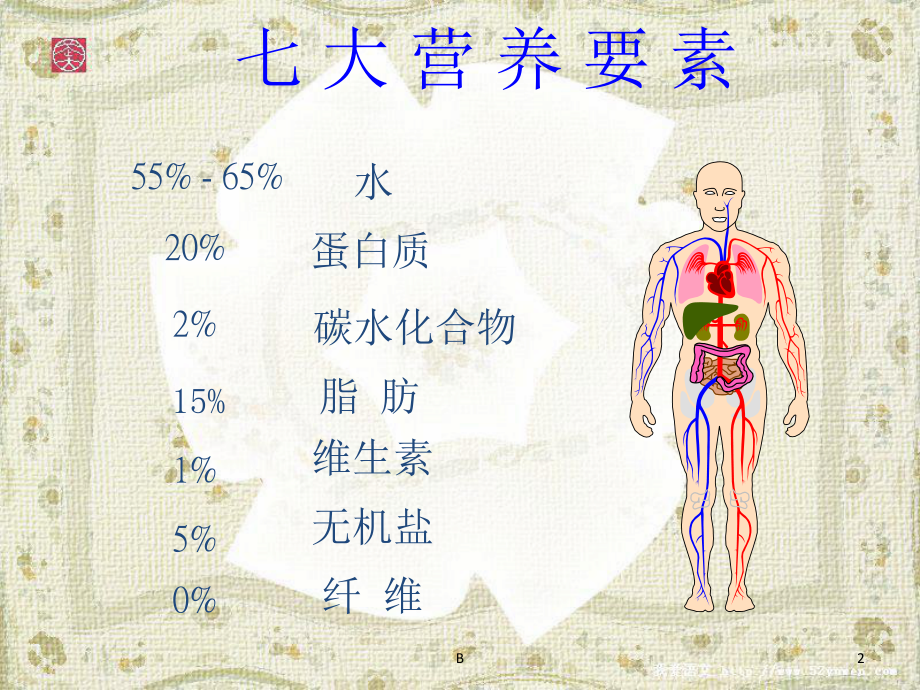 人体的七大营养素课件.ppt_第2页