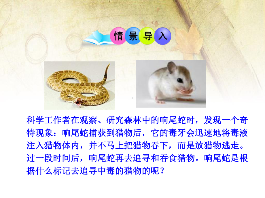 北师大版七年级生物《生物学研究的基本方法》课件.pptx_第2页