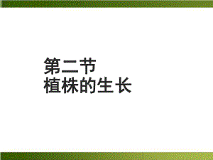 （人教教材）植株的生长教学1课件.ppt