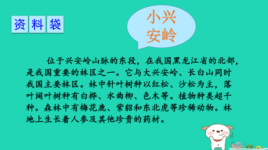 三年级语文上册第六单元美丽的小兴安岭课件新人教版.pptx_第3页