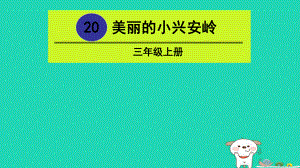 三年级语文上册第六单元美丽的小兴安岭课件新人教版.pptx