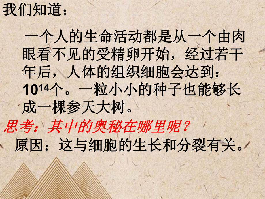 七年级生物上册 221《细胞通过分裂产生新细胞》课件3 新版新人教版.ppt_第2页