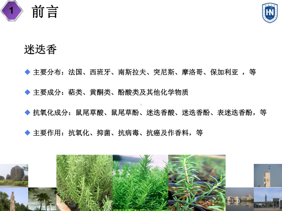 优秀毕业论文答辩通用型课件.ppt_第3页