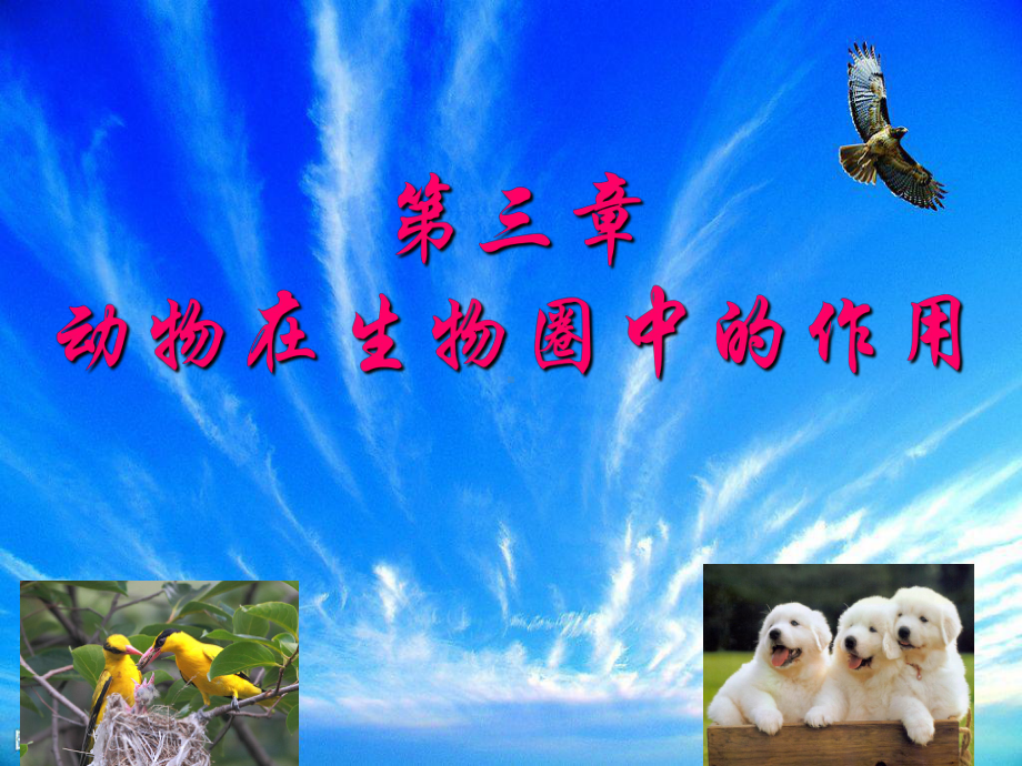 八年级生物第三章 动物在生物圈中的作用优秀课件.ppt_第1页