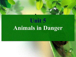 剑桥(Join In)版六年级英语上册Unit 5 Animals in Danger 教学课件.ppt-(纯ppt课件,无音视频素材)