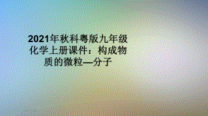 2021年秋科粤版九年级化学上册课件：构成物质的微粒—分子.pptx