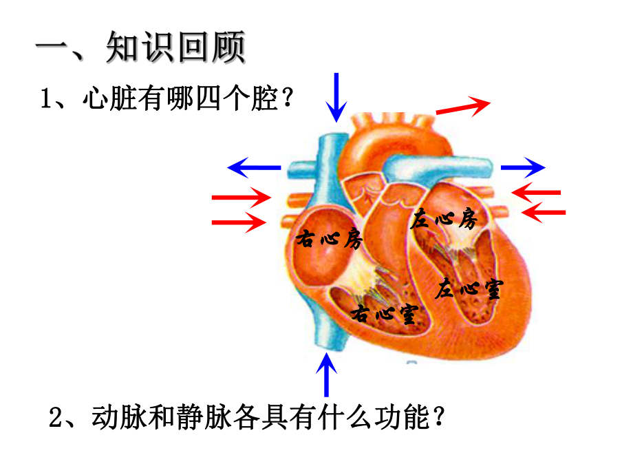 人教版七年级下册生物：科学家的故事 血液循环的发现课件.ppt_第3页