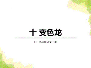 《变色龙》教学讲解课件-002.pptx