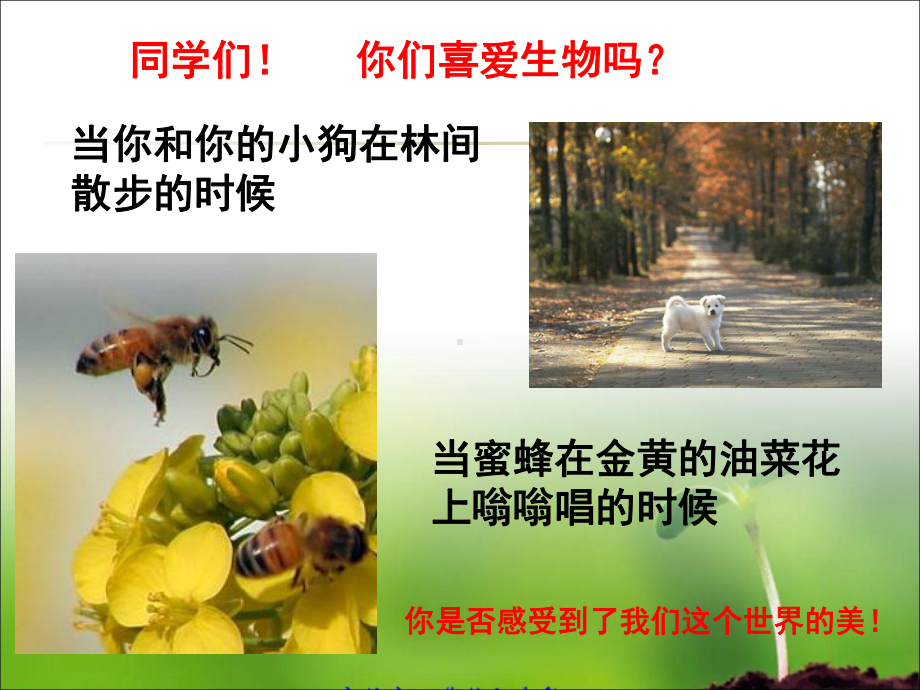 七年级生物开学第一课 致同学们课件.ppt_第3页