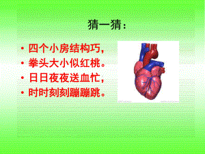 四年级下册科学课件 7保护心脏 粤教版 (共30 张).ppt