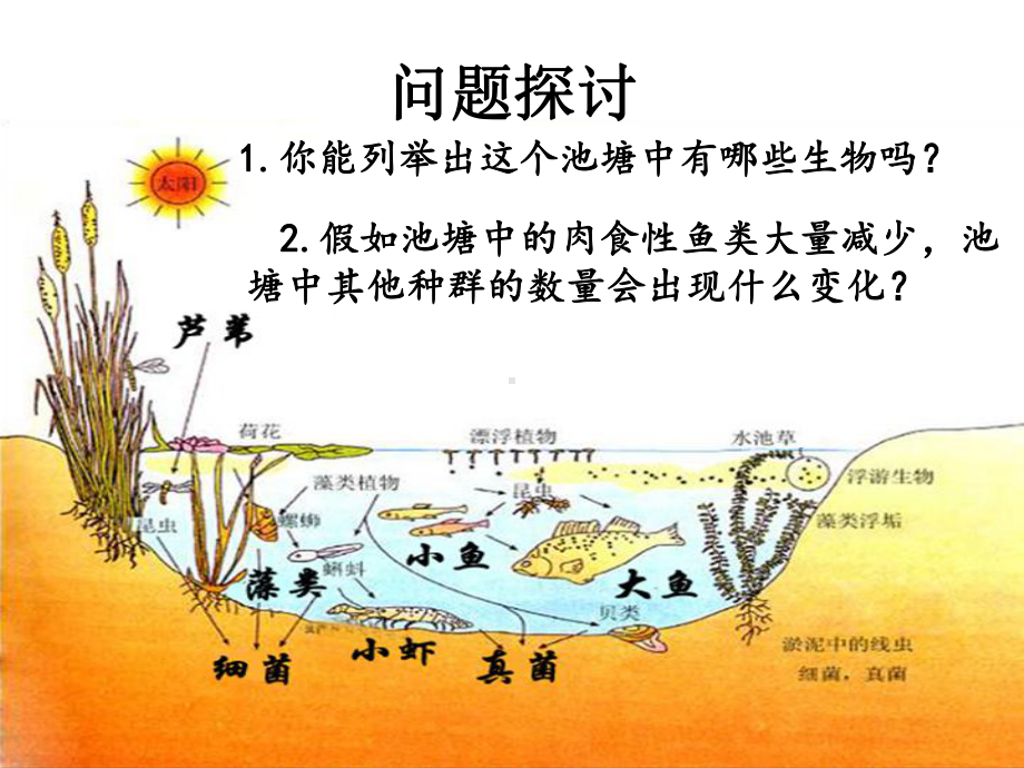 人教版高中生物必修三第4章第3节 群落的结构课件.ppt_第2页