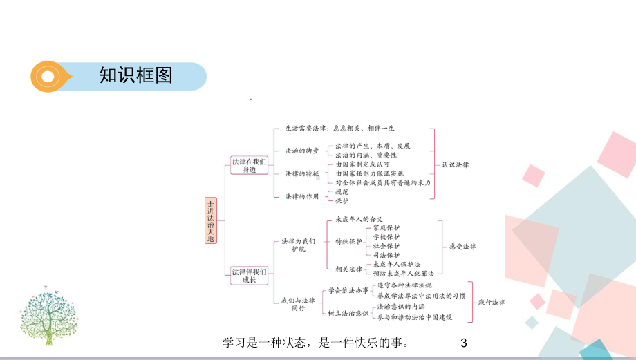 2020年中考人教版道德与法治总复习第8课时 走进法治天地教学课件.pptx_第3页