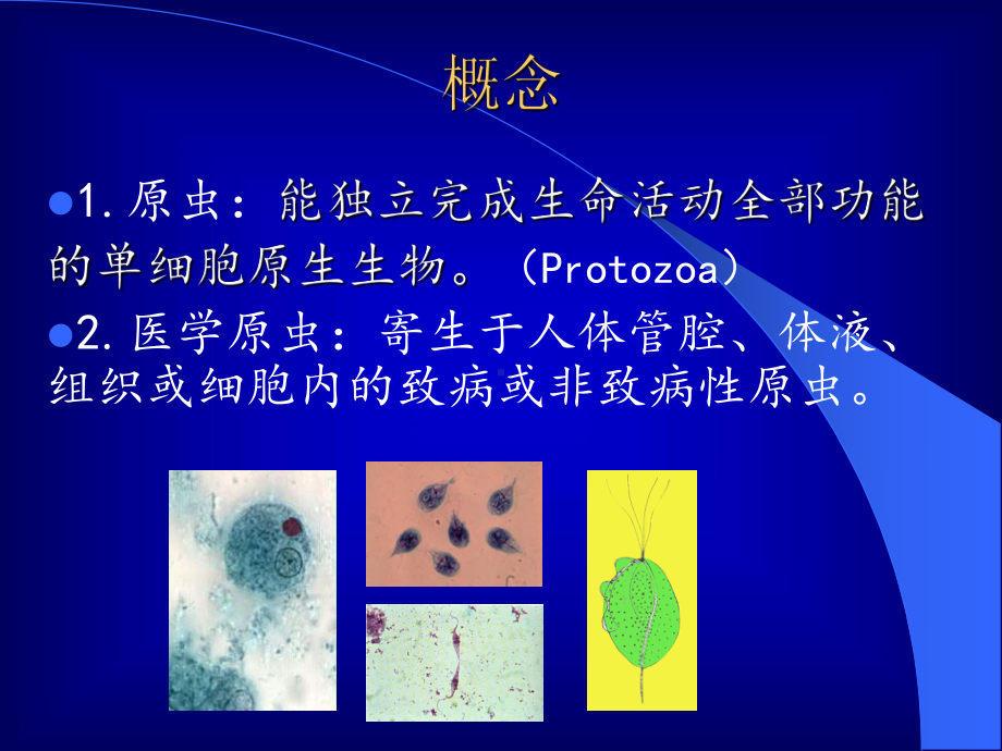 原虫概述溶组阿米巴课件.ppt_第3页