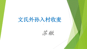 （新教材）62《文氏外孙入村收麦》课件部编版高中语文必修上册.pptx