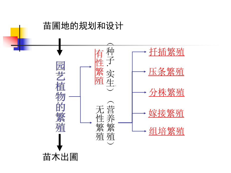 园艺植物繁殖课件.ppt_第3页