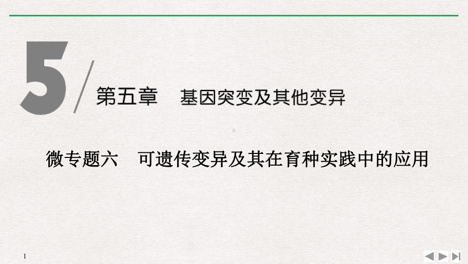 人教版高中生物必修二 微专题六 可遗传变异及其在育种实践中的应用课件.pptx_第1页