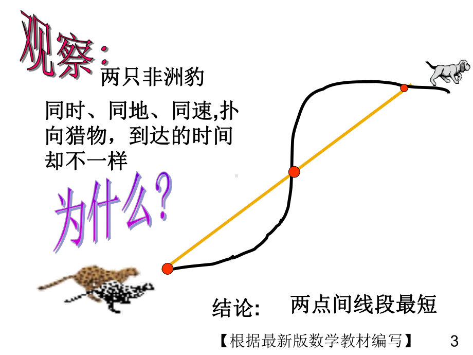 华东师大版数学七年级上册1点和线课件.ppt_第3页