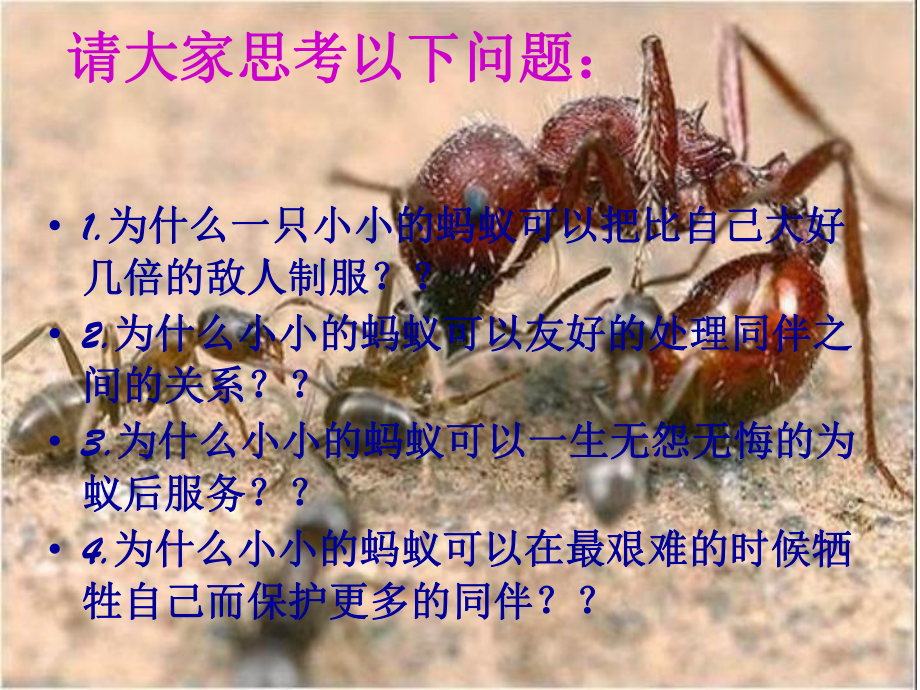 主题班会团结就是力量课件.ppt_第2页