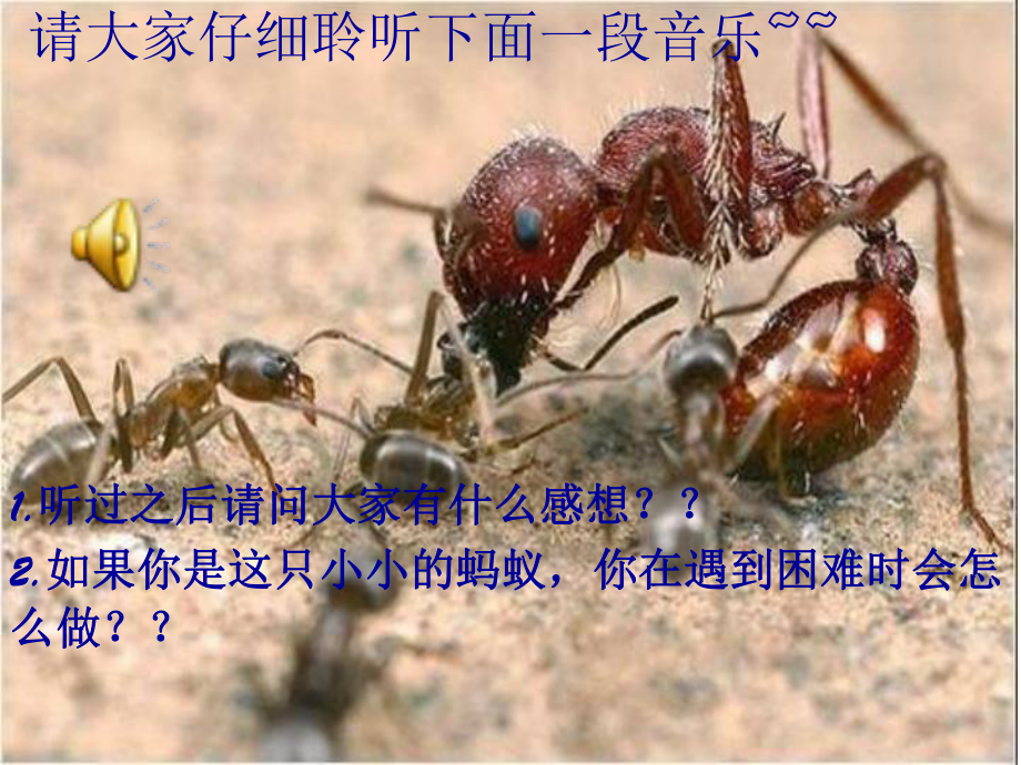 主题班会团结就是力量课件.ppt_第3页