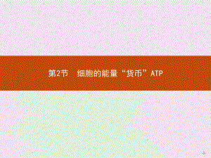 《细胞的能量“货币”ATP》人教版教材课件1.pptx