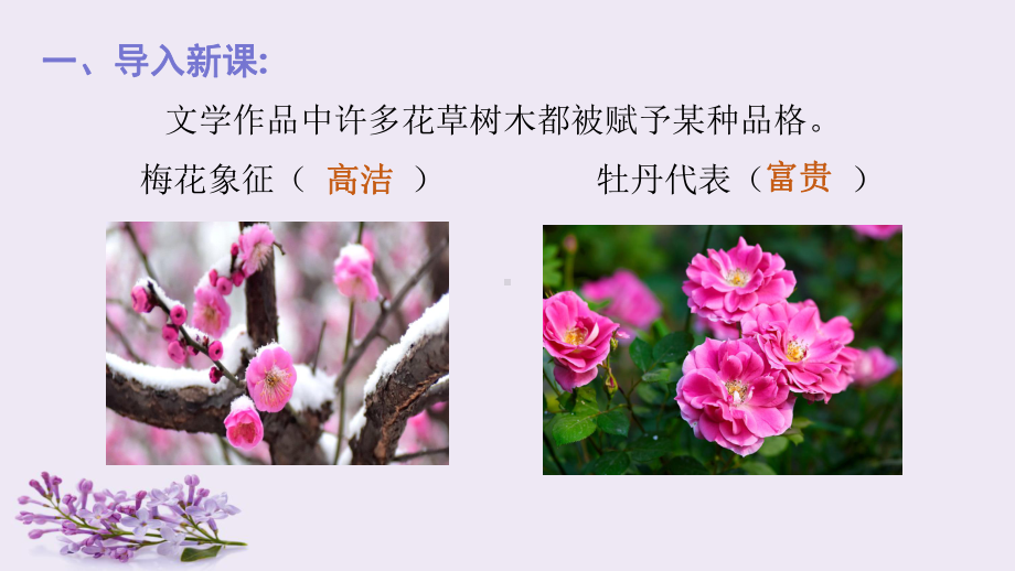 《丁香结》教学讲解课件.ppt_第1页