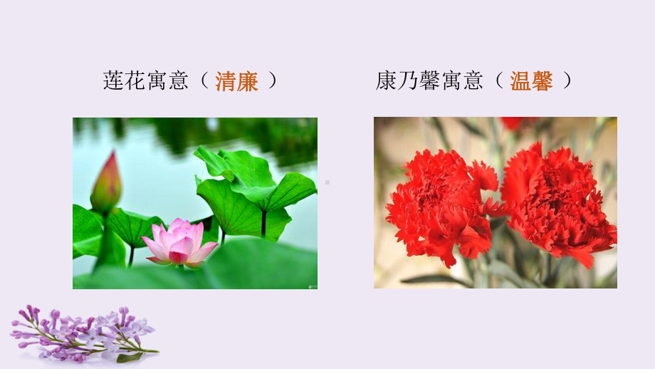 《丁香结》教学讲解课件.ppt_第3页