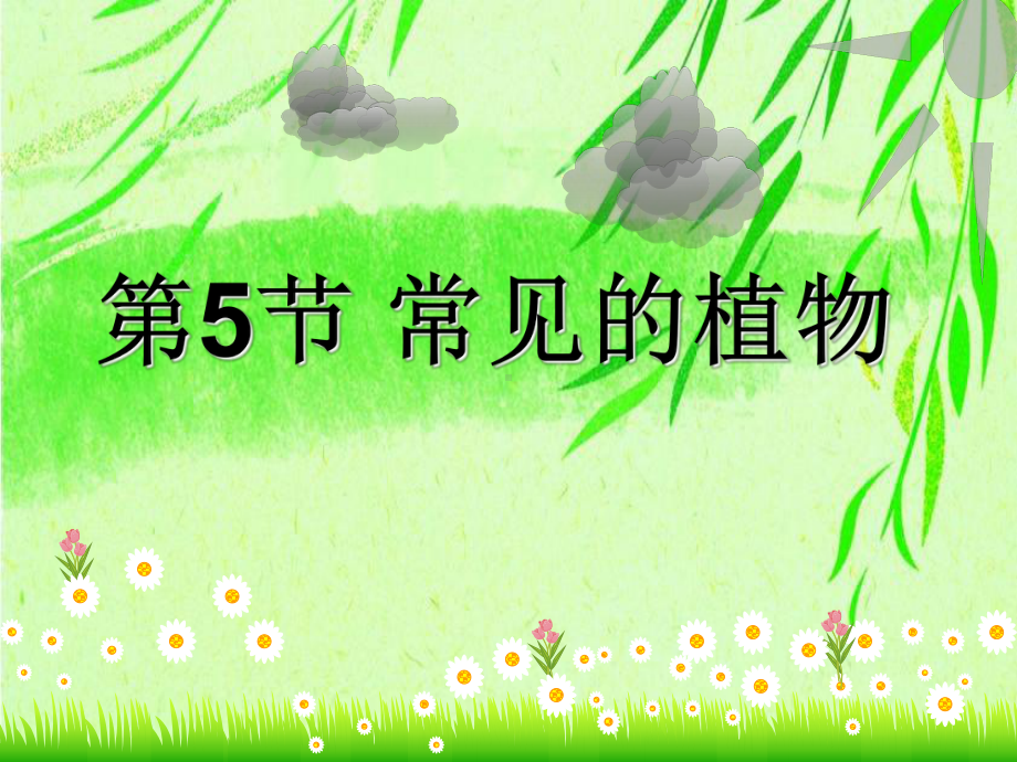 25 常见的植物课件(浙教版七年级上).ppt_第1页