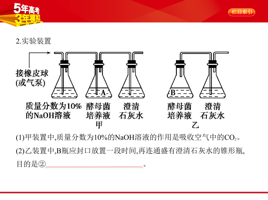 专题某细胞呼吸(讲解部分)课件.pptx_第3页