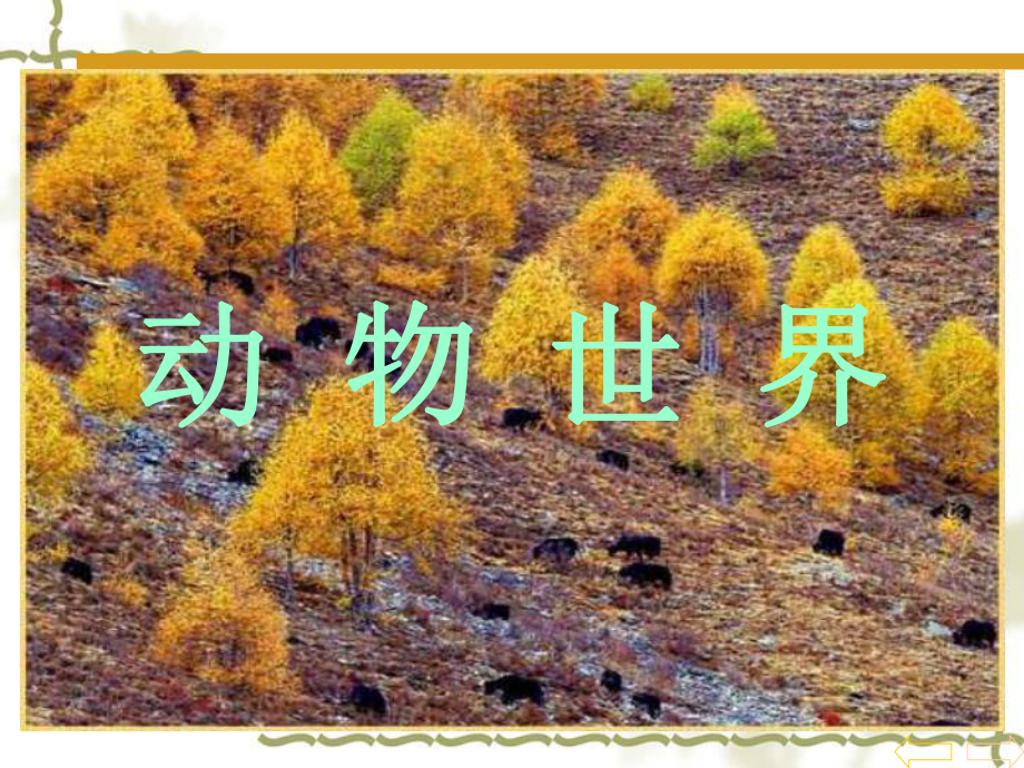 一年级数学上册数一数课件-002.ppt_第3页