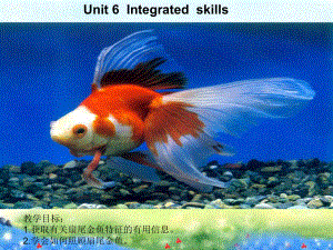 《牛津英语7B U6 Integrated skills 》 公开课一等奖课件-002.ppt