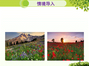 北师大版八年级下册生物《第3节 植物的主要类群》课件.pptx