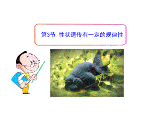 203性状遗传有一定的规律性课件3(生物北师大版八年级上册).ppt