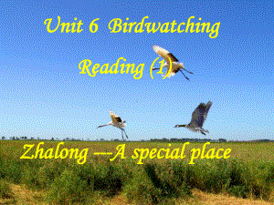 Unit6 Birdwatching reading课件(牛津译林版八上).ppt(课件中不含音视频素材)