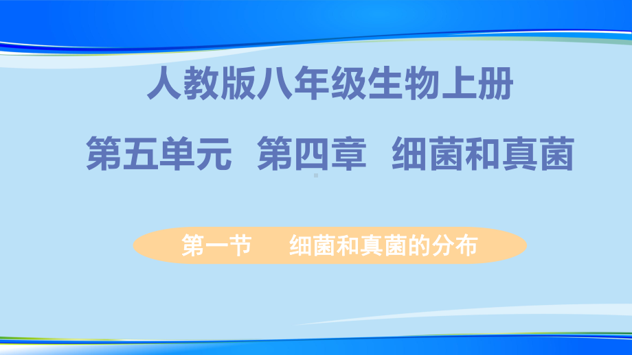 人教 版八年级上册541细菌和真菌的分布课件.pptx_第1页