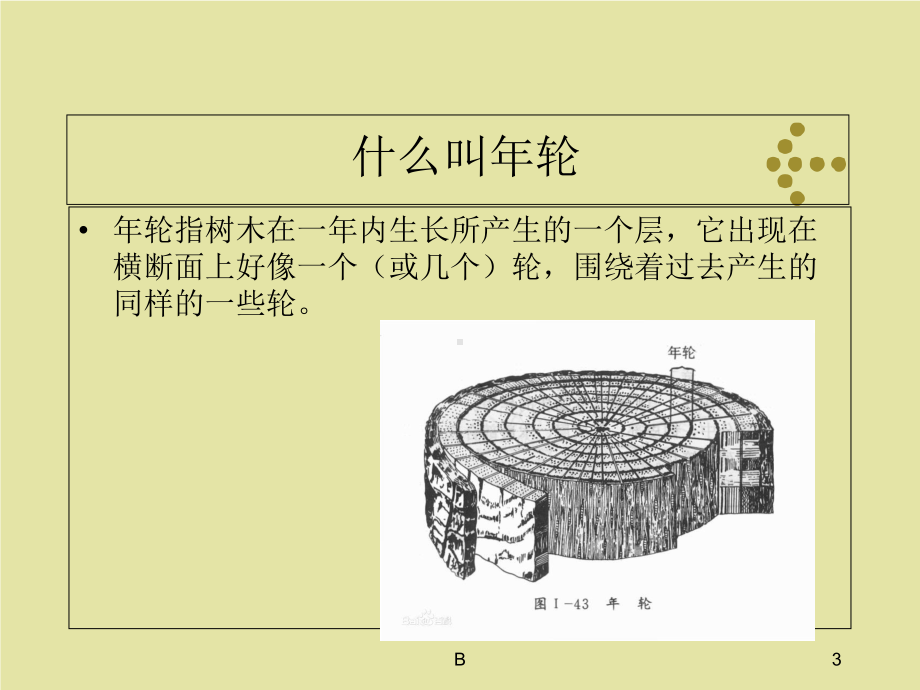 介绍树木年轮课件.ppt_第3页