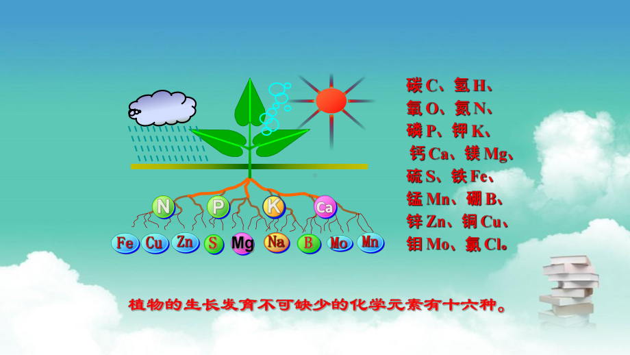 人教版九年级下册化学第十一单元 课题2 化学肥料课件.pptx_第3页