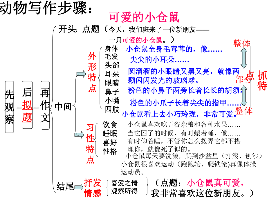 《可爱的小仓鼠》作文课件.ppt_第3页